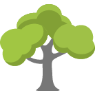 Kirkland Tree Removal Service
